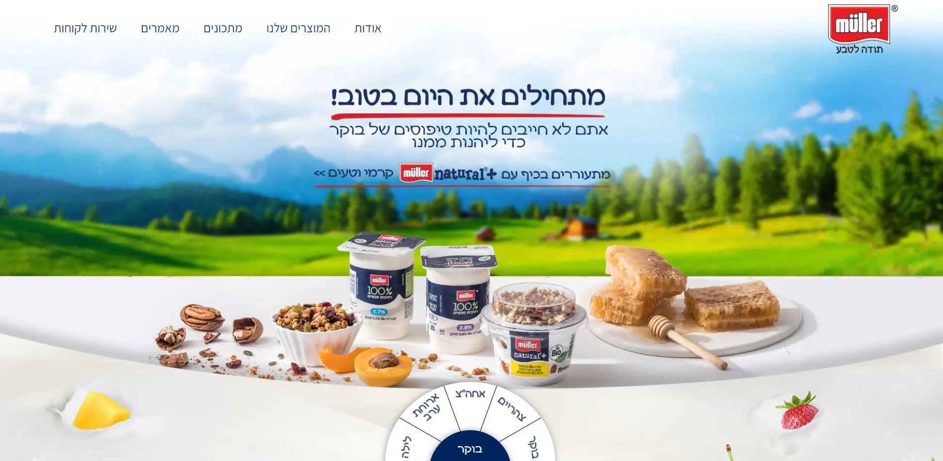 מולר-עמוד בוקר